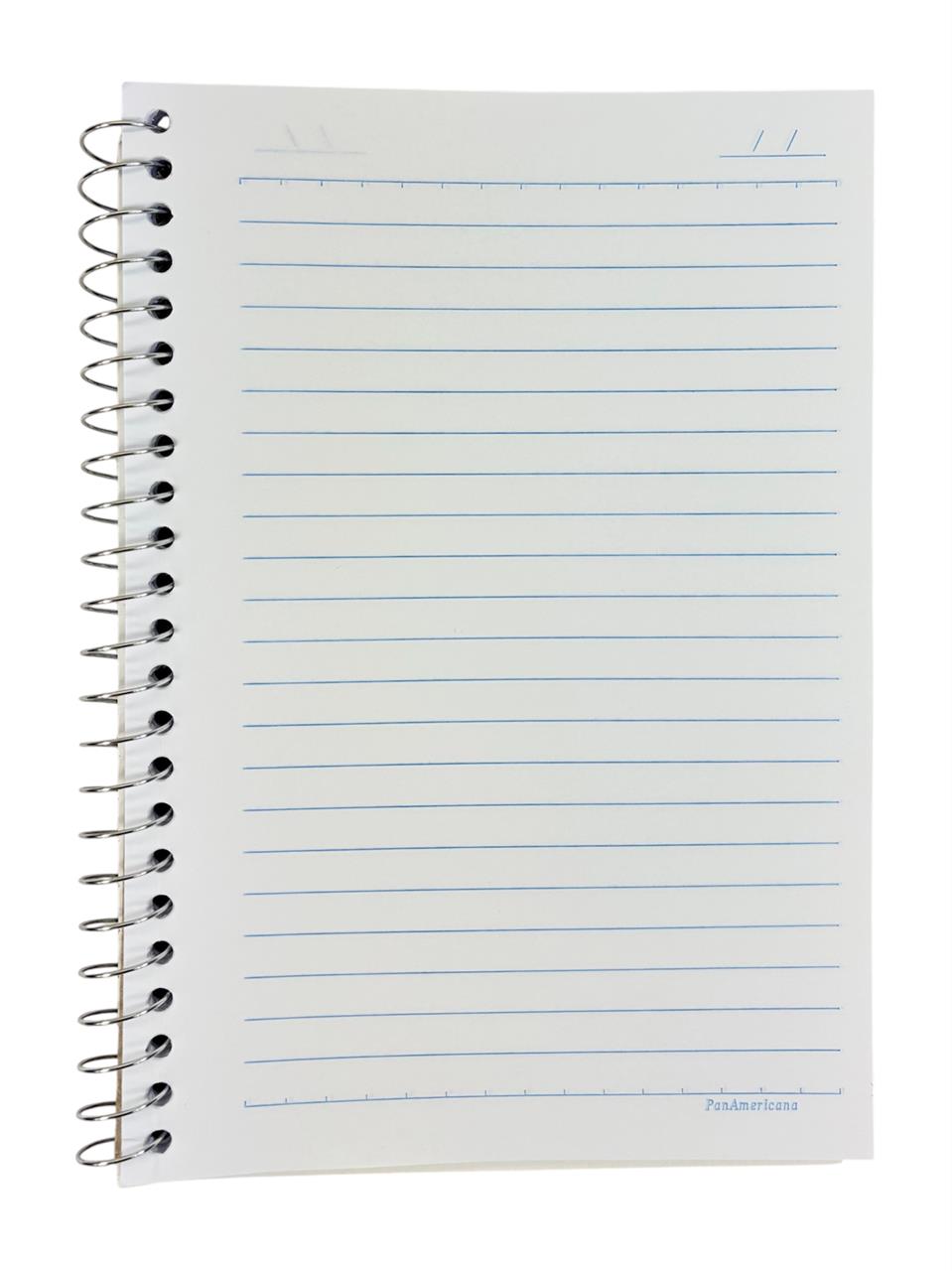 Caderno 1/4 Espiral Color Panamericana